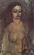Amedeo Modigliani Jeune fille nue (mk38) Spain oil painting artist